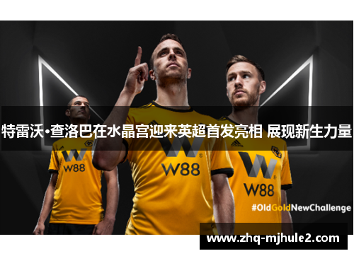 特雷沃·查洛巴在水晶宫迎来英超首发亮相 展现新生力量